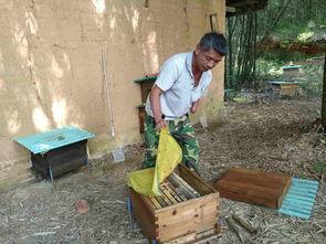 娱乐吃瓜酱贫困户,揭秘贫困户背后的真实故事  第3张